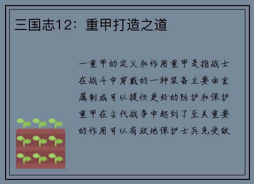 三国志12：重甲打造之道